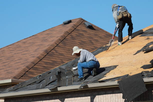 Best Roof Ventilation Installation  in St Anne, IL